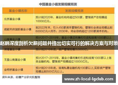赵鹏深度剖析欠薪问题并提出切实可行的解决方案与对策