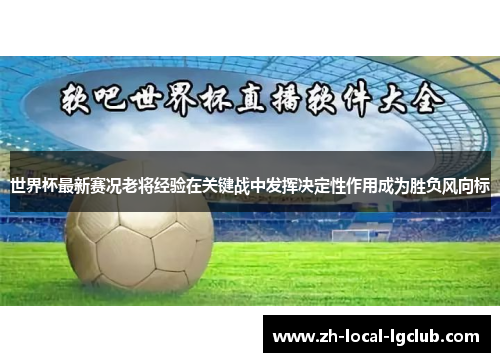 世界杯最新赛况老将经验在关键战中发挥决定性作用成为胜负风向标