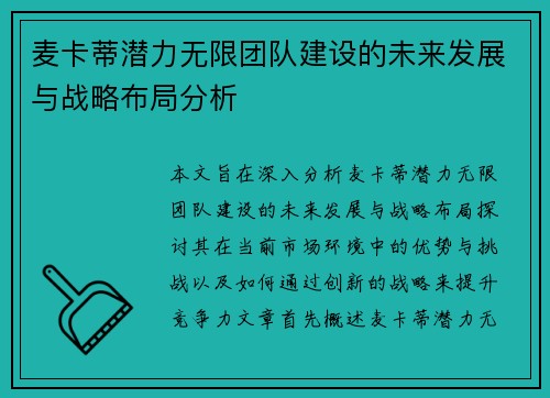 麦卡蒂潜力无限团队建设的未来发展与战略布局分析